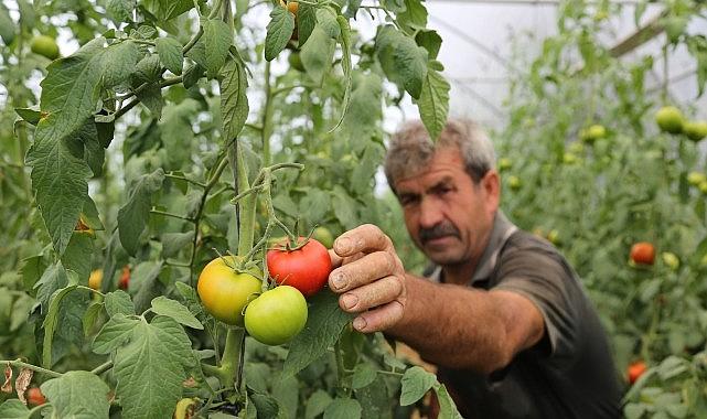 Büyükşehir'den yüzde 50 hibeli sera desteği Büyükşehir'den yüzde 50 hibeli sera desteği