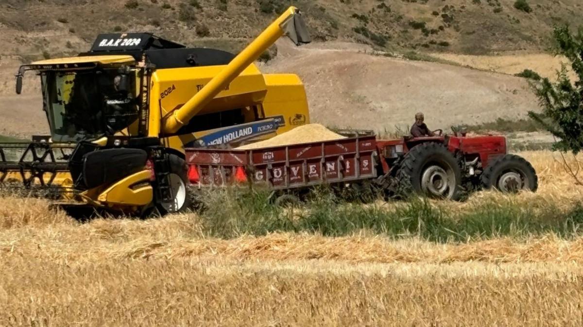 TMO hububat alım fiyatlarını açıkladı: Adıyaman’da destek ödemeleriyle buğday 16.020 TL’ye kadar yükselecek TMO hububat alım fiyatlarını açıkladı: Adıyaman’da destek ödemeleriyle buğday 16.020 TL’ye kadar yükselecek