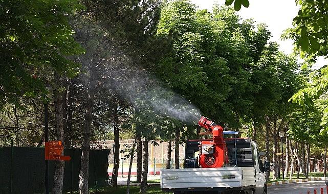 Çankaya Belediyesi'nden Yaz Aylarına Özel İlaçlama Çankaya Belediyesi'nden Yaz Aylarına Özel İlaçlama