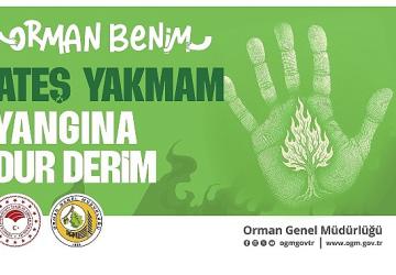OGM'den kritik uyarı: Sıcaklık Artışı Orman Yangınlarını Tetikleyebilir