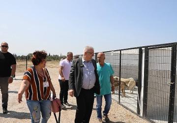 Edremit Belediyesi can dostlara sahip çıkıyor
