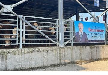 Büyükşehir'in modern mezbahasında kurbanlar kesiliyor