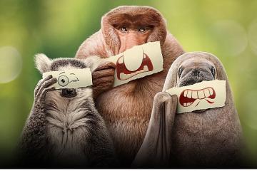 Ryan Reynolds'ın Anlatımıyla 'Ötekiler', 21 Haziran Cumartesi 20.00'de National Geographic WILD Ekranlarında İzleyicilerle Buluşuyor!