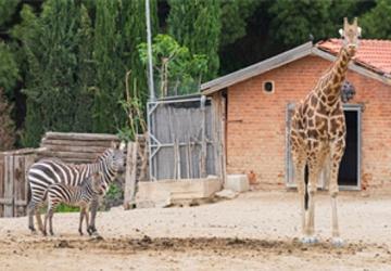 İzmir Doğal Yaşam Parkı bayramda ziyaretçileri bekliyor