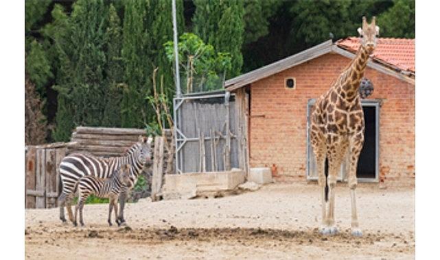 İzmir Doğal Yaşam Parkı bayramda ziyaretçileri bekliyor