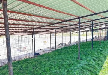 Adıyaman Belediyesi sokak hayvanlarına güvenli yuva sağladı - Videolu Haber