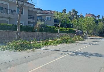 Güzelbahçe Belediyesi'nden Yaz Temizliği