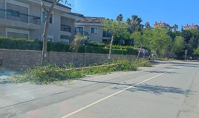 Güzelbahçe Belediyesi'nden Yaz Temizliği Güzelbahçe Belediyesi'nden Yaz Temizliği