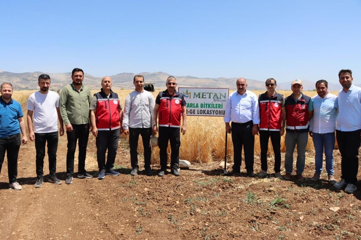 Adıyaman’da ‘Kuraklığa Dayanıklı Tohum’ çalışmaları yerinde incelendi - Videolu Haber Adıyaman’da ‘Kuraklığa Dayanıklı Tohum’ çalışmaları yerinde incelendi - Videolu Haber