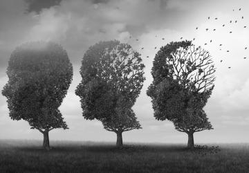 Alzheimer’a karşı doğal çözüm!