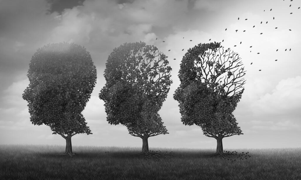 Alzheimer’a karşı doğal çözüm! Alzheimer’a karşı doğal çözüm!