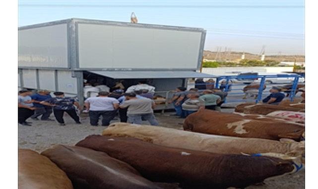 Büyükşehir'den bayramda güvenli ve hijyenik kesim hizmeti Büyükşehir'den bayramda güvenli ve hijyenik kesim hizmeti