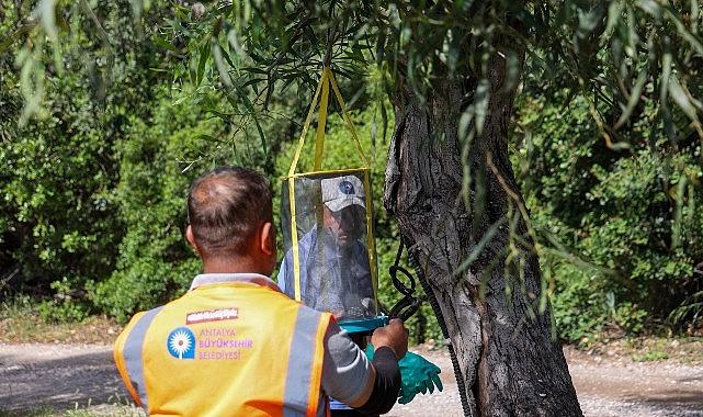 Sarısu Kadınlar Plajı 1 Haziran'da açılıyor Sarısu Kadınlar Plajı 1 Haziran'da açılıyor