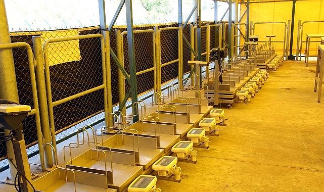 İstanbul Kurban Bayramı'na hazırlanıyor