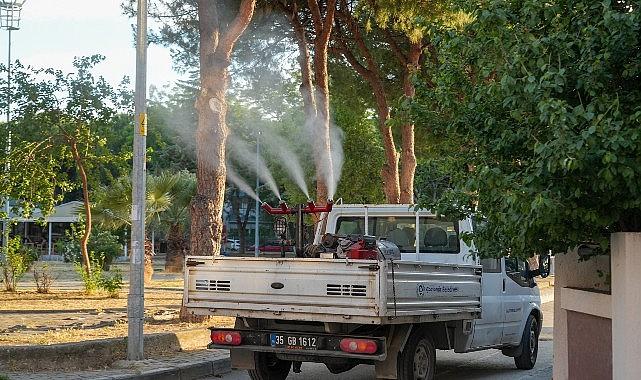 Gaziemir'de sivrisineklere karşı ilaçlama çalışmaları hız kazandı Gaziemir'de sivrisineklere karşı ilaçlama çalışmaları hız kazandı