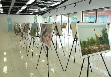 Bu fotoğraf sergisi Ormanya'da görsel şölen sunuyor