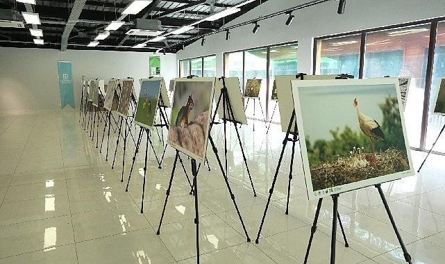 Bu fotoğraf sergisi Ormanya'da görsel şölen sunuyor