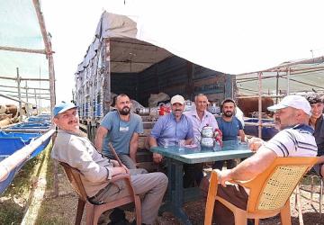 Büyükşehir kurban satış noktalarını ilaçlıyor
