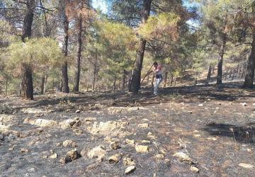 Ali Dağı’nda çıkan yangına vatandaşların müdahalesiyle kontrol altına alındı