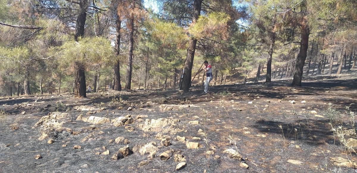 Ali Dağı’nda çıkan yangına vatandaşların müdahalesiyle kontrol altına alındı