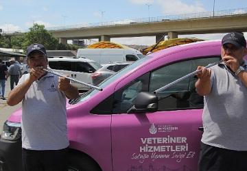İBB boğa timi görev başında