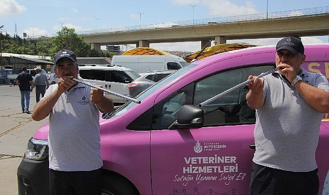 İBB boğa timi görev başında İBB boğa timi görev başında