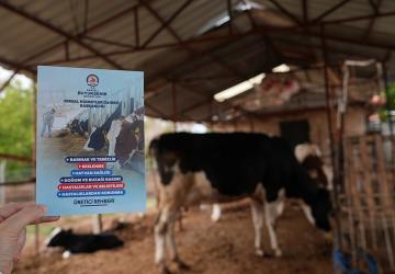 Denizli Büyükşehir’in Veteriner Danışmanlığı Üreticilerden Tam Not Aldı