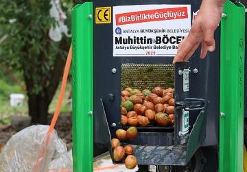 Büyükşehir'in ceviz soyma makineleri üreticilerin hizmetinde