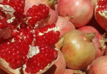 Suruç Narı uluslararası alanda tescillendi