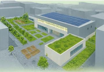 İzmir çatılarda yeşil devrimi başlatıyor