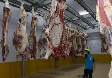 Kasapların tercihi Büyükşehir Mezbahası