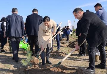 Fidanlar Toprakla Buluştu