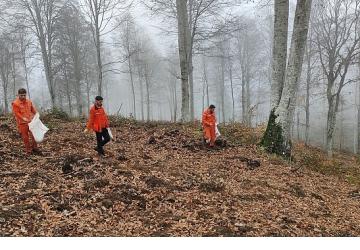 Harmancık'ta yanan ormanlara tohumlar serpiliyor