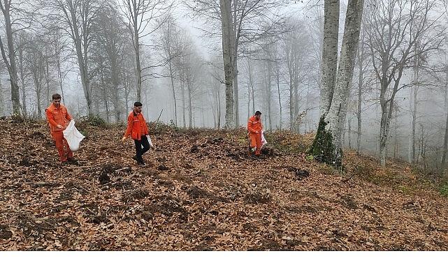 Harmancık'ta yanan ormanlara tohumlar serpiliyor