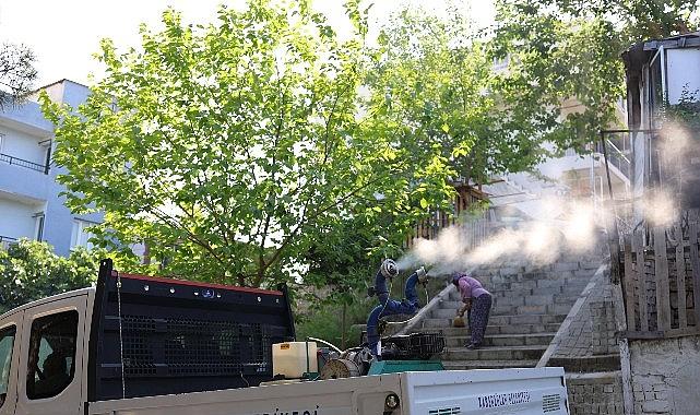 Karabağlar'da Haşerelere Karşı İlaçlama Seferberliği