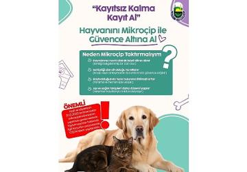 İnegöl Belediyesi'nden Evinde Kedi-Köpek Besleyenlere Mikroçip Uyarısı