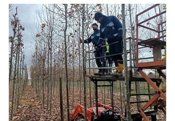 On binlerce bitki Büyükşehir fidanlığında yetişiyor