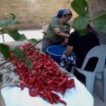 ‘Tükettiğimiz Dünya’ etkinlikleri devam ediyor: Belgesel gösterimi sonrası forum düzenlenecek