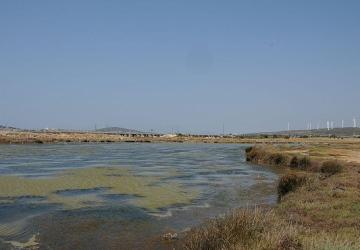 Egeli Akademisyen AB Destekli “HALO-FORCE" Projesinde yer aldı