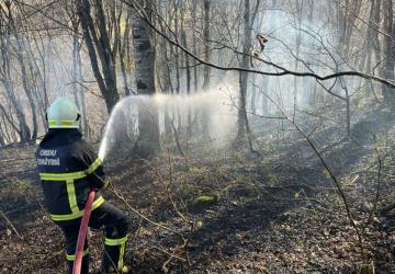 Ordu’da son bir haftada 40 yangın çıktı