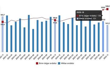 Dış Ticaret Endeksleri, Kasım 2025