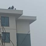 Adıyaman İndere TOKİ’de maaş eylemi: İşçiler çatıya çıktı - Videolu Haber