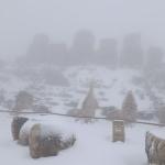 Nemrut Dağı beyaza büründü, heykeller kartpostallık görüntüler oluşturdu - Videolu Haber