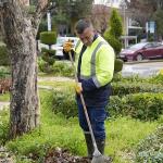 Burhaniye'de Park ve Yeşil Alanlar Yenileniyor