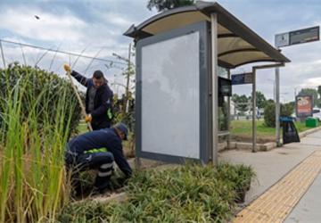 Yeşil duraklarla kente nefes