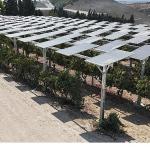 Yüzde 60 eğimli arazide ilk güneş enerjisi santrali Adana'da