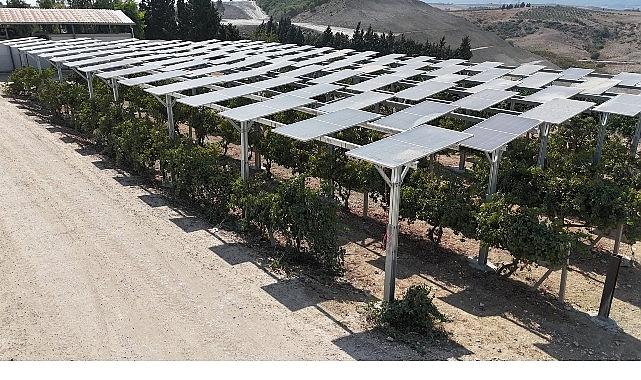 Yüzde 60 eğimli arazide ilk güneş enerjisi santrali Adana'da