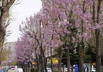 Beylikdüzü'nde Bahar Mesaisi Başladı