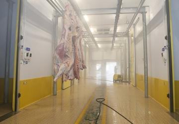 Büyükşehir Mezbahası'nda hijyenik ve helal kesim