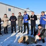 Sivas'ta Kar Yağışı İçin Şükür Kurbanı Kesildi